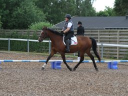 IMG_4780_web